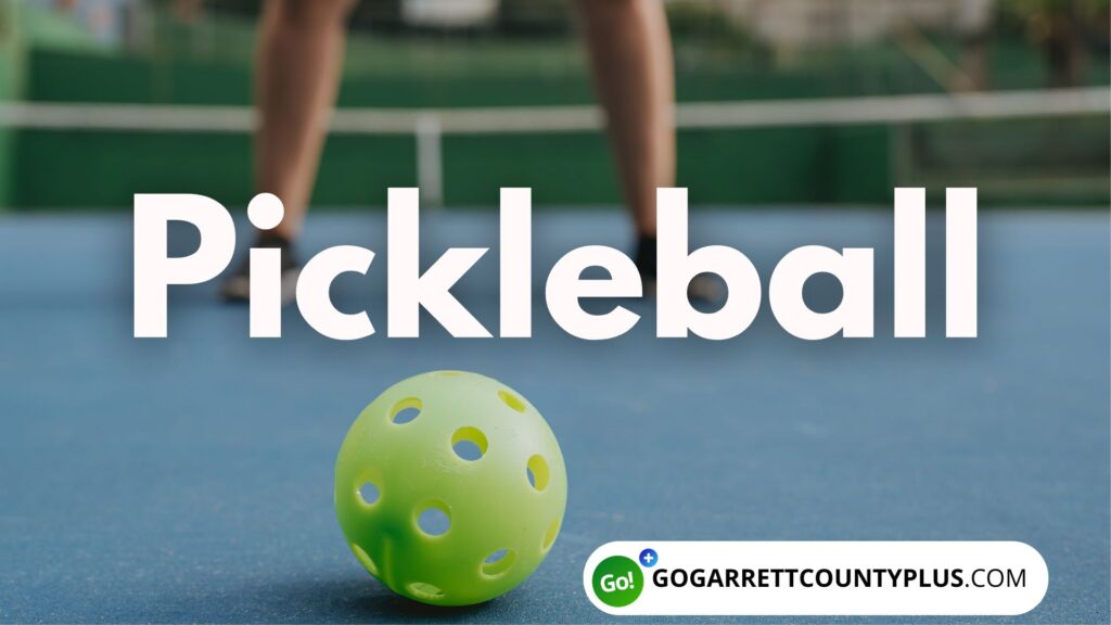 Pickleball Indoor Gogarrettcountyplus.com